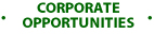 CORPORATE OPPORTUNITIES 